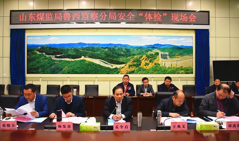 鲁西监察分局副局长孟令启到英国365集团公司检查