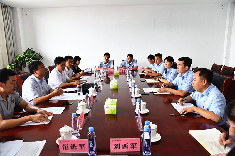集团公司副总经理闵维在英国365集团公司进行党建调研
